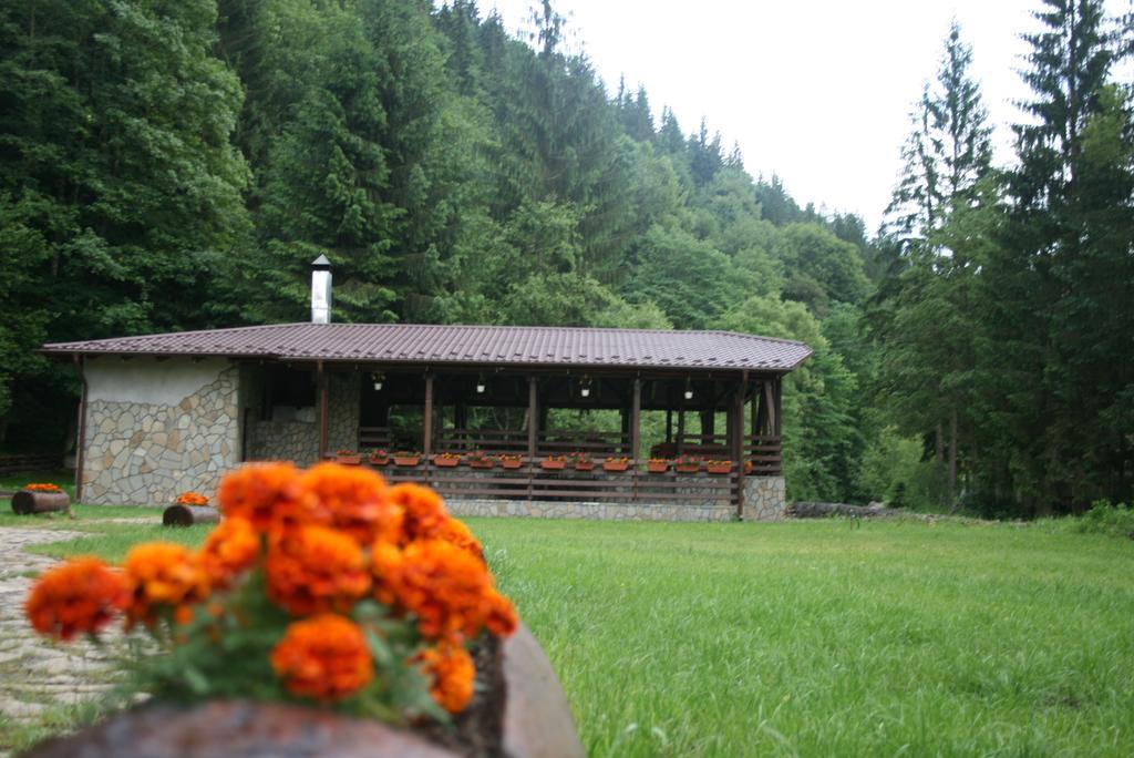 Pensiunea Denisa Lunca Bradului Esterno foto